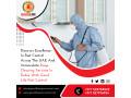 affordable-pest-control-in-dubai-good-life-pest-control-small-3