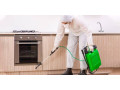 affordable-pest-control-in-dubai-good-life-pest-control-small-1