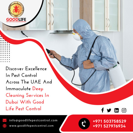 affordable-pest-control-in-dubai-good-life-pest-control-big-3