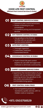 affordable-pest-control-in-dubai-good-life-pest-control-big-4