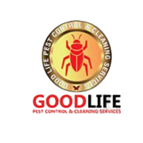 affordable-pest-control-in-dubai-good-life-pest-control-big-0