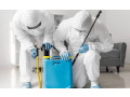 pest-control-services-in-sharjah-al-ameen-pest-control-small-1