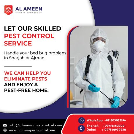 pest-control-services-in-sharjah-al-ameen-pest-control-big-2